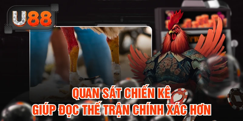 Quan sát chiến kê giúp đọc thế trận chính xác hơn